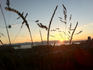 seattle sunset